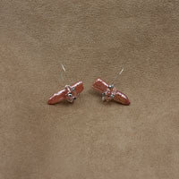 Precious Earrings